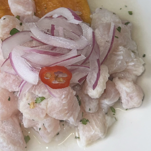 Ceviche no plate zoom